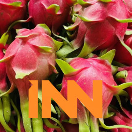 WHOLESALE WORLD FRESH DRAGON PITAYA WHITE DRAGON FRUIT